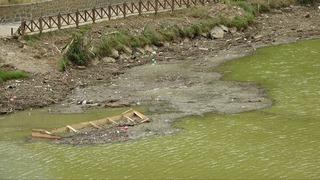 Ünlü göl bataklığa dönüşüyor! Tedbirler de işe yaramadı, uzmanlar alarm verdi!