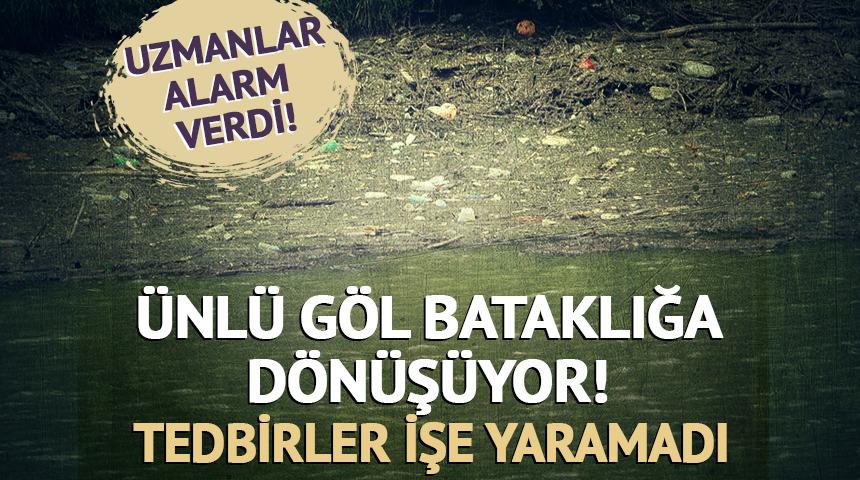 Ünlü göl bataklığa dönüşüyor! Tedbirler de işe yaramadı, uzmanlar alarm verdi!