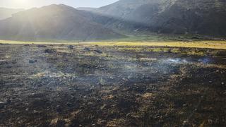 Iğdır’da tarla yangını! 250 ot balyası yandı: Köyümüzde bilinmeyen bir nedenden dolayı yangın çıktı
