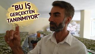 “Böcekle uğraşılır mı?” dediler, o ek gelir kapısı yarattı: 50 günde binlerce TL kazandı