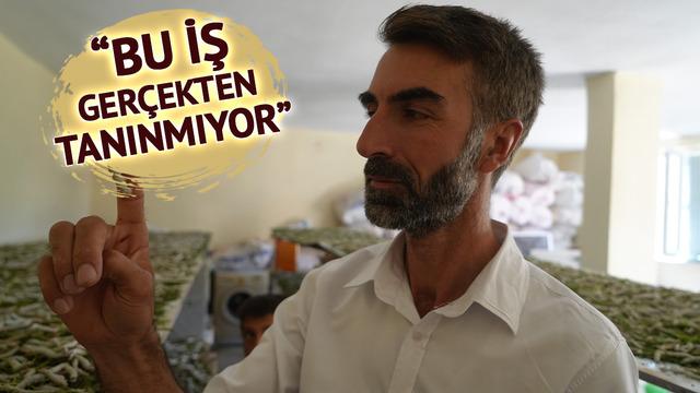 “Böcekle uğraşılır mı?” dediler, o ek gelir kapısı yarattı! 50 günde binlerce TL kazandı: Bu iş gerçekten tanınmıyor