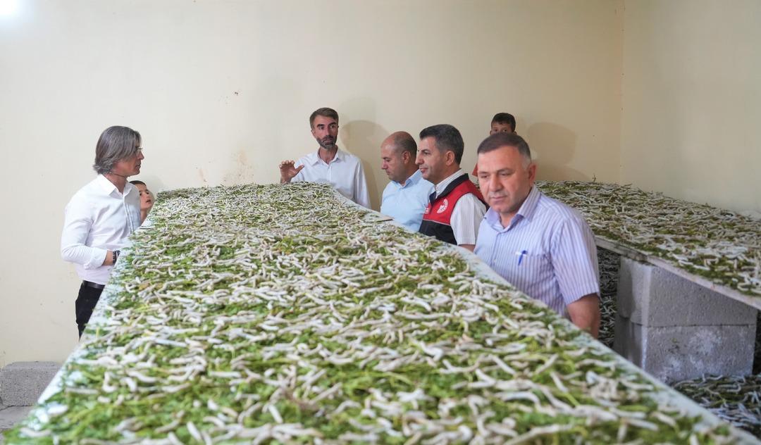 “Böcekle uğraşılır mı?” dediler, o ek gelir kapısı yarattı! 50 günde binlerce TL kazandı: "Bu iş gerçekten tanınmıyor" 2