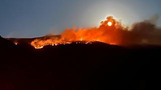 Çankırı'da korkutan orman yangını! Rüzgarın etkisiyle hızla yayıldı: Müdahale sürüyor