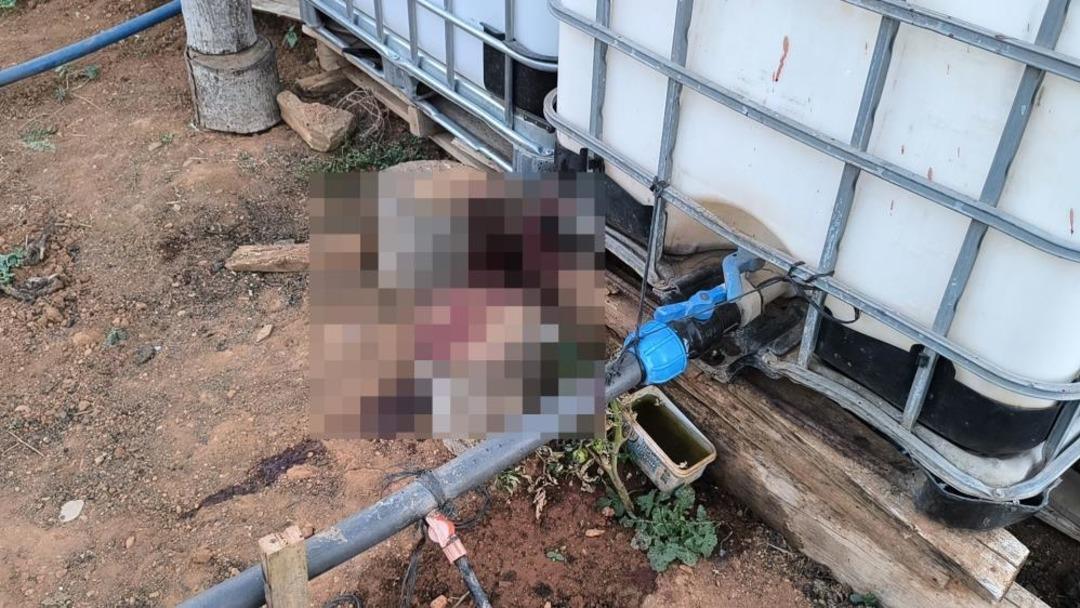 Bahçe sulama kavgası cinayetle sonlandı! Komşusunu pompalı tüfekle vurarak öldürdü 2