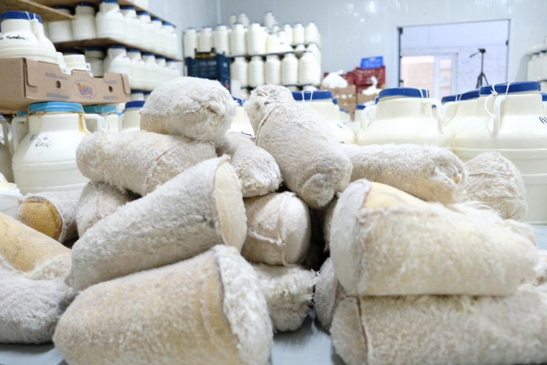 Yaylalardan sofralara gelen eşsiz lezzet! 6 ay serin ortamlarda olgunlaşan, Erzincan Tulum peyniri: Coğrafi işaret tescili almıştı... 3
