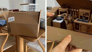 Google duyurdu, yeni dönem başladı! Veo 3 ile fotoğraflar artık videoya dönüşüyor