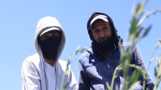 Sabah 4'te başlıyorlar, 44 derecede çalışıyorlar! Yevmiyeleri ne 800 ne 1000 TL 'Temiz para...' diyerek açıkladı