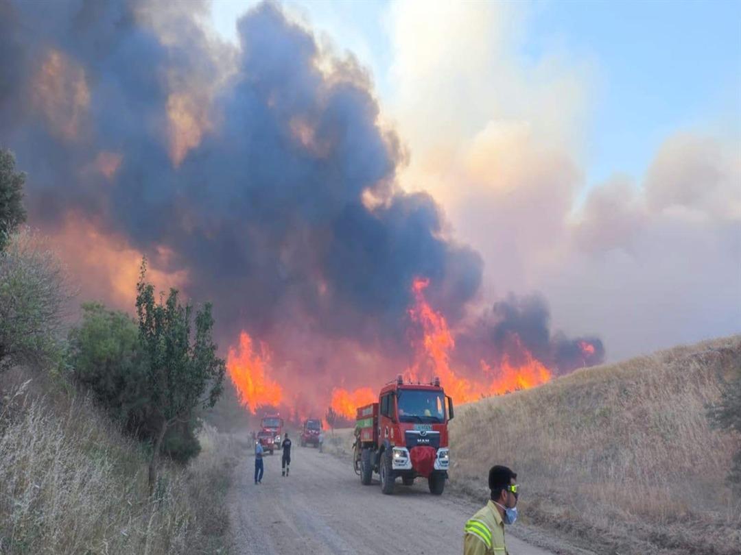 Tekirdağ da orman yangını! Alevlerin tehdit ettiği bir mahalle boşaltılıyor  1