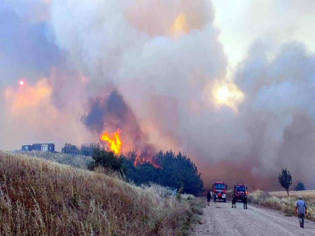 Tekirdağ da orman yangını! Alevlerin tehdit ettiği bir mahalle boşaltılıyor  4