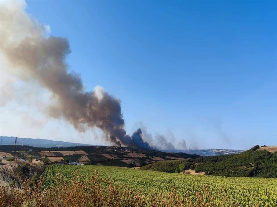 Tekirdağ da orman yangını! Alevlerin tehdit ettiği bir mahalle boşaltılıyor  5