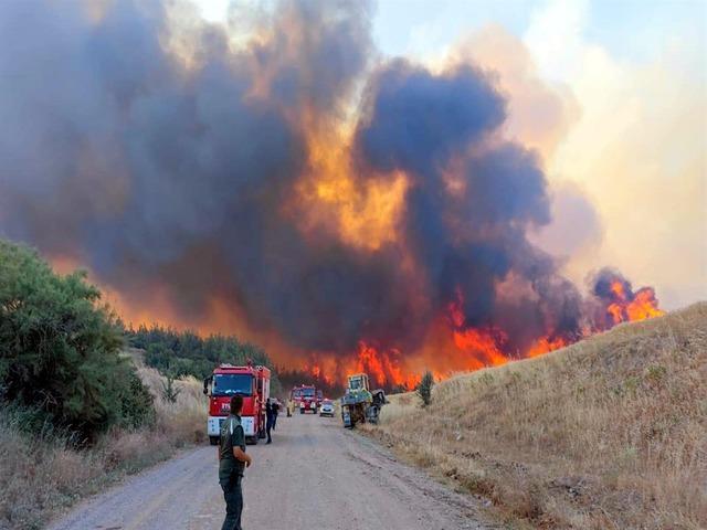 Tekirdağ'da orman yangını! Mahalle boşaltılıyor