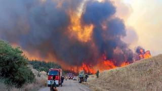 Tekirdağ'da orman yangını! Alevlerin tehdit ettiği bir mahalle boşaltılıyor 