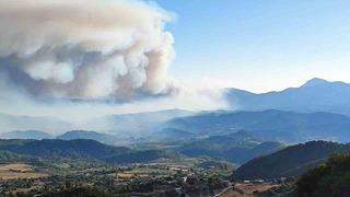 Suriye’de devam eden orman yangını Türkiye sınırına ulaştı: Ekipler teyakkuzda!
