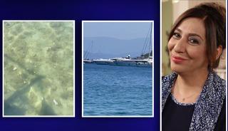 Bodrum sahilinden yayınladı! 'Deniz idrar rengi' deyip isyan etti! ''Yetkililer ses verin''