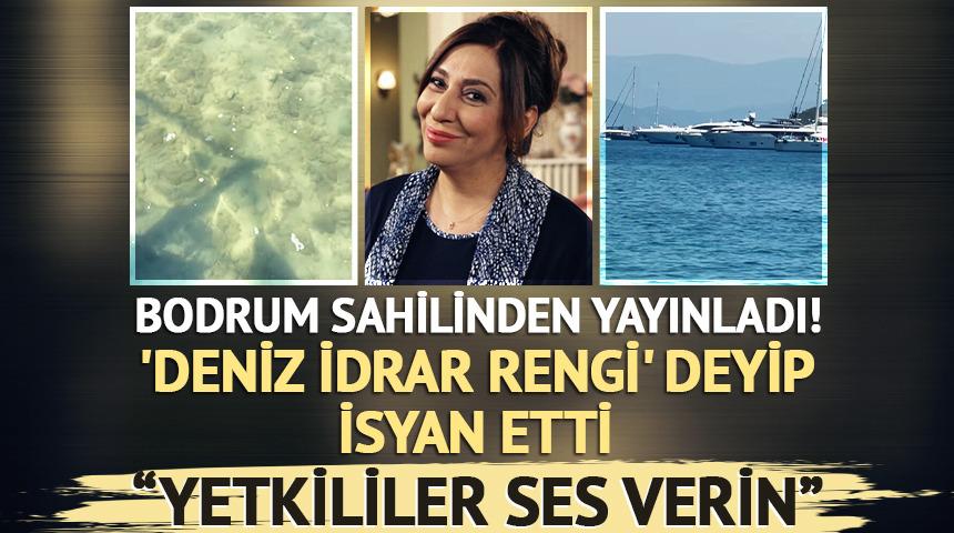 Bodrum sahilinden yayınladı! 'Deniz idrar rengi' deyip isyan etti! ''Yetkililer ses verin''