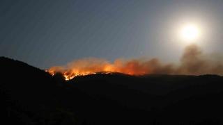 Çankırı’daki orman yangınında 40 hektar alan zarar gördü