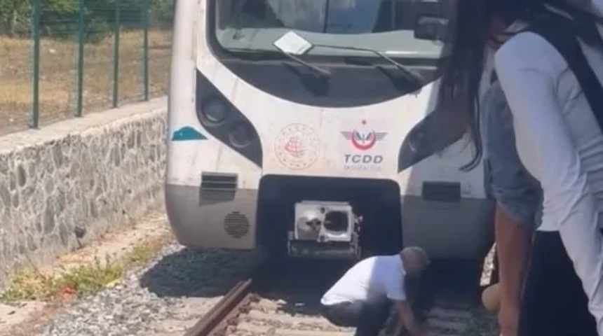 Raylara düşen kediyi kurtarmak için treni durdurdu, raylara indi