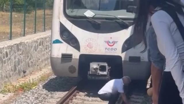 Raylara düşen kediyi kurtarmak için treni durdurdu, raylara indi