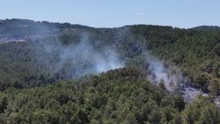 Son dakika | İstanbul'da Aydos Ormanı'nda yangın! Ekipler sevk edildi