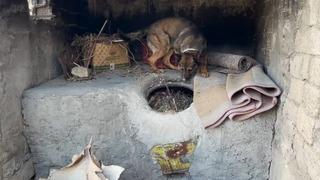 Batman’da ekmek tandırında uyuşturucu ele geçirildi