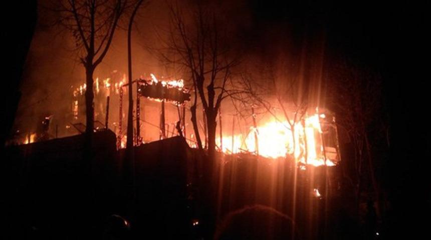 Heybeliada'da yangın çıktı!