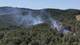 İstanbul Aydos Ormanı'nda yangın çıktı: Havadan ve karadan müdahale ediliyor