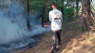 Amasya’da başlayan orman yangını kontrol altına alındı