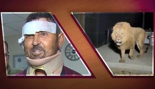 Türkiye'nin konuştuğu adam aslanla mücadelesini anlattı