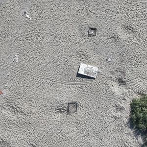 Mersin'de anaç kaplumbağaların kumsala çıkışlarında artış gözlendi