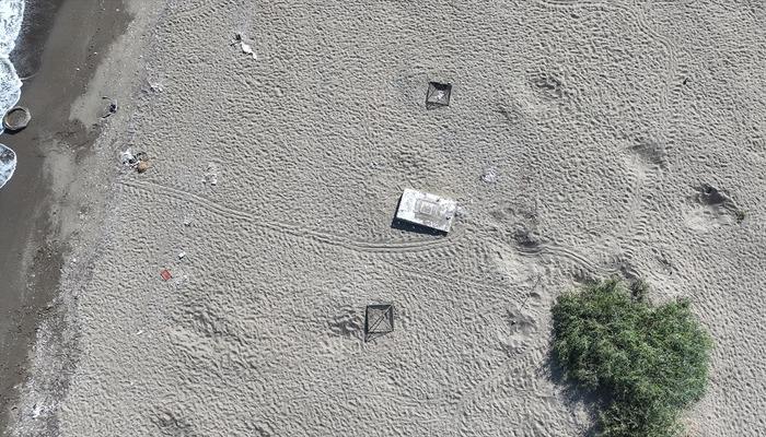 20585108-700x400 Mersin'de anaç kaplumbağaların kumsala çıkışlarında artış gözlendi