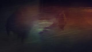 Sakarya’da kırsal mahalleye inen ayı görüntülendi