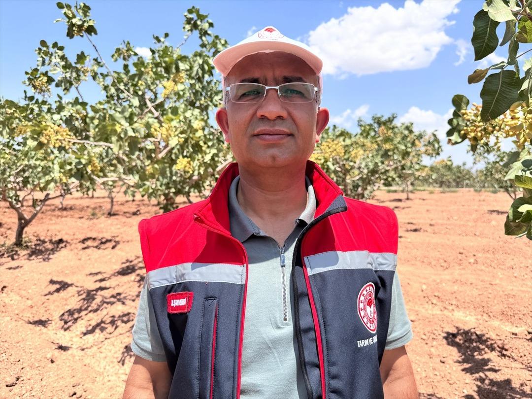  Yeni bir gelir kapısı  Deneme yapıldı...  Çok güzel verim alıyoruz  5