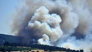 Edirne Keşan'da orman yangını