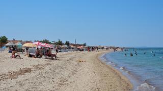 Artan fiyatlar karşısında alternatif oldu! Yurt dışında da geliyorlar