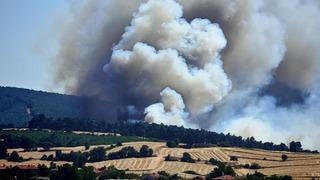 Edirne Keşan'da orman yangını!