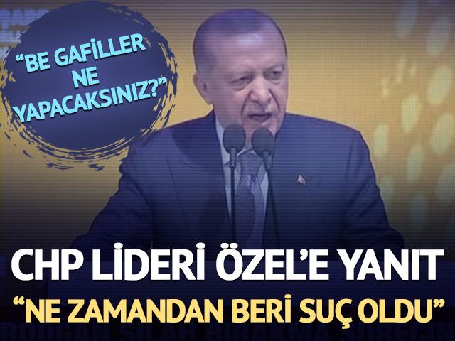 Cumhurbaşkanı Erdoğan'dan Özel'in 'Ümmetçi' çıkışına sert yanıt