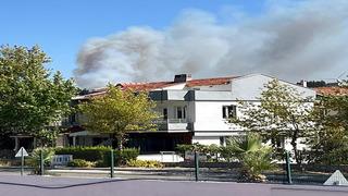 İzmir'de orman yangını
