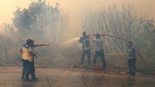Suriye'nin Lazkiye ilinde orman yangınlarının kontrol altına alınmaya başladığı açıklandı