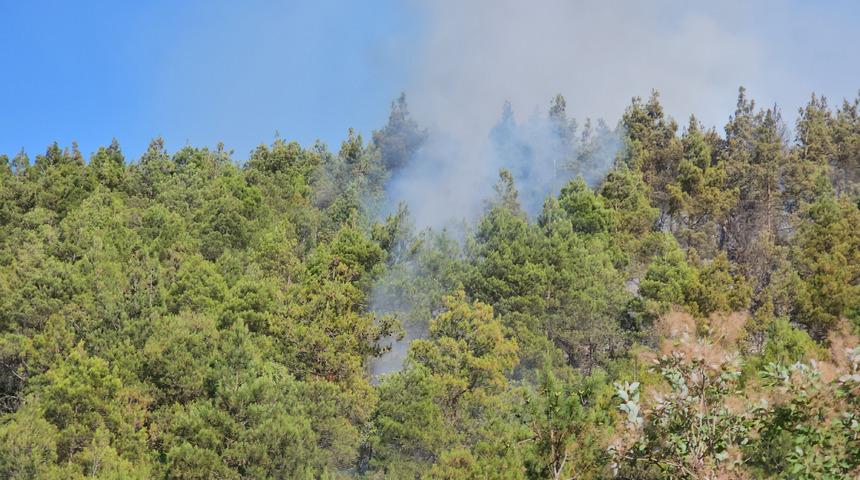 Tokat’ta orman yangını