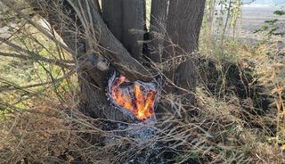 Amasya'da tarım arazisinde çıkan ve ormanlık alana sıçrayan yangın söndürüldü