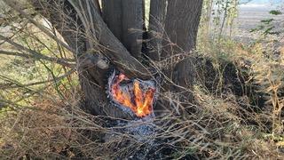 Amasya'da tarım arazisinde çıkan ve ormanlık alana sıçrayan yangın söndürüldü