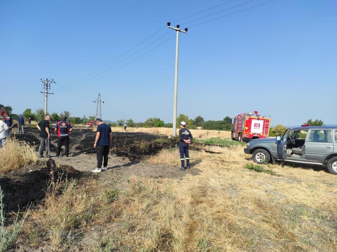 Yer: Kütahya! Elektrik akımına kapılan kuş yangına neden oldu! 2