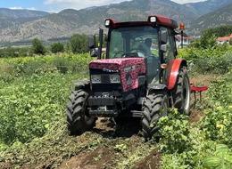 'Bu fiyata bile satabiliyorsak mutlu oluyoruz' Dönüm fiyatı 10 bin TL! 'Çok büyük bir düşüş var'