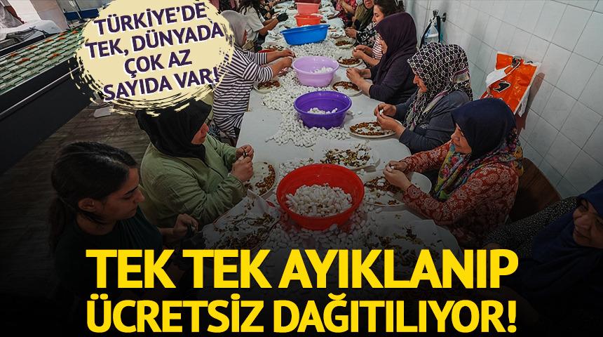 Türkiye'de tek, dünyada 5-6 tane var!