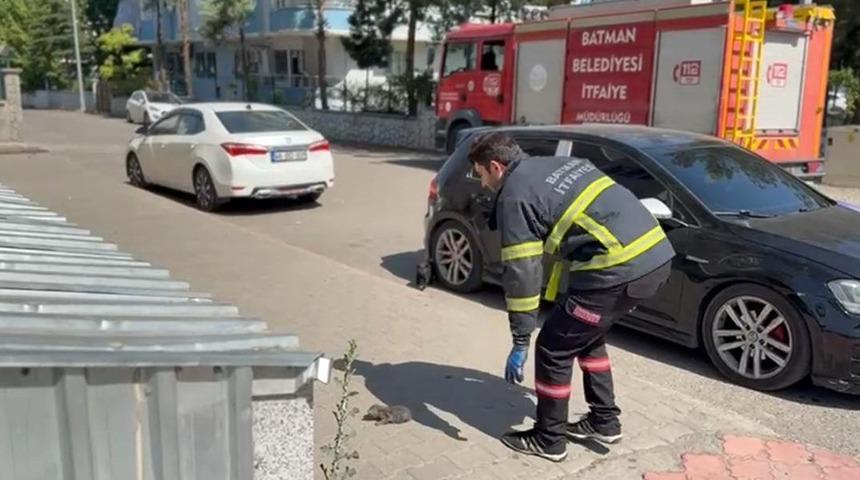 Batman’da tavan arasında sıkışan kedi kurtarıldı