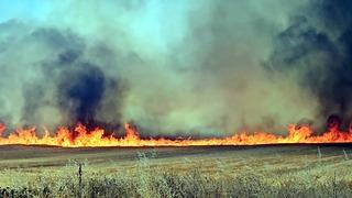 Kapkara dumanlar gökyüzünü kapladı! Edirne'de orman yangını: Alevler hızla büyüdü, kara yolu trafiğe kapatıldı: Zincirleme kaza meydana geldi