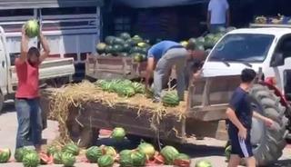 Karpuzları yere atıp parçalamışlardı: Çiftçilere rekor ceza gündemde