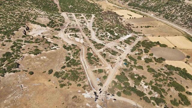 Kütahya Valisi Musa Işın: Sahipsiz hayvanların sorumluluğu artık valiliklerde