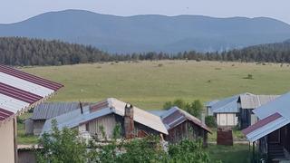 Yer: Ankara! Yılkı atları böyle görüntülendi