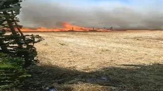 Silivri'de buğday tarlasında çıkan yangın söndürüldü